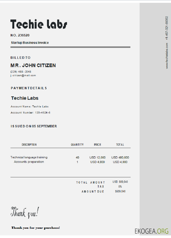 Facture USA Techie Labs